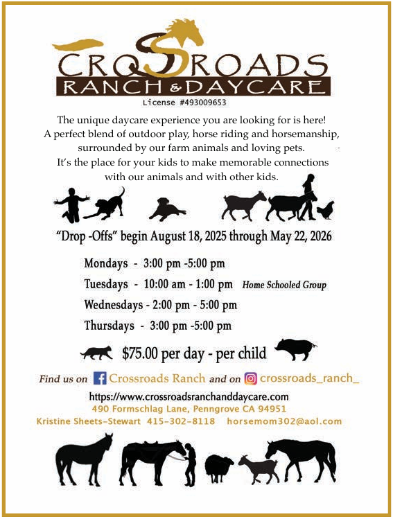 Download the daycare flyer and schedule